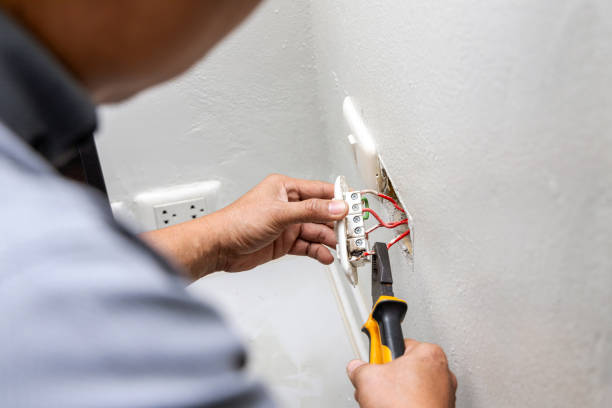 Best Ceiling Fan Installation Electrician  in Princeton, FL